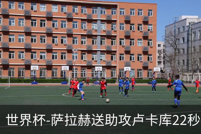 世界杯-萨拉赫送助攻卢卡库22秒造乌龙 比利时1-1埃及